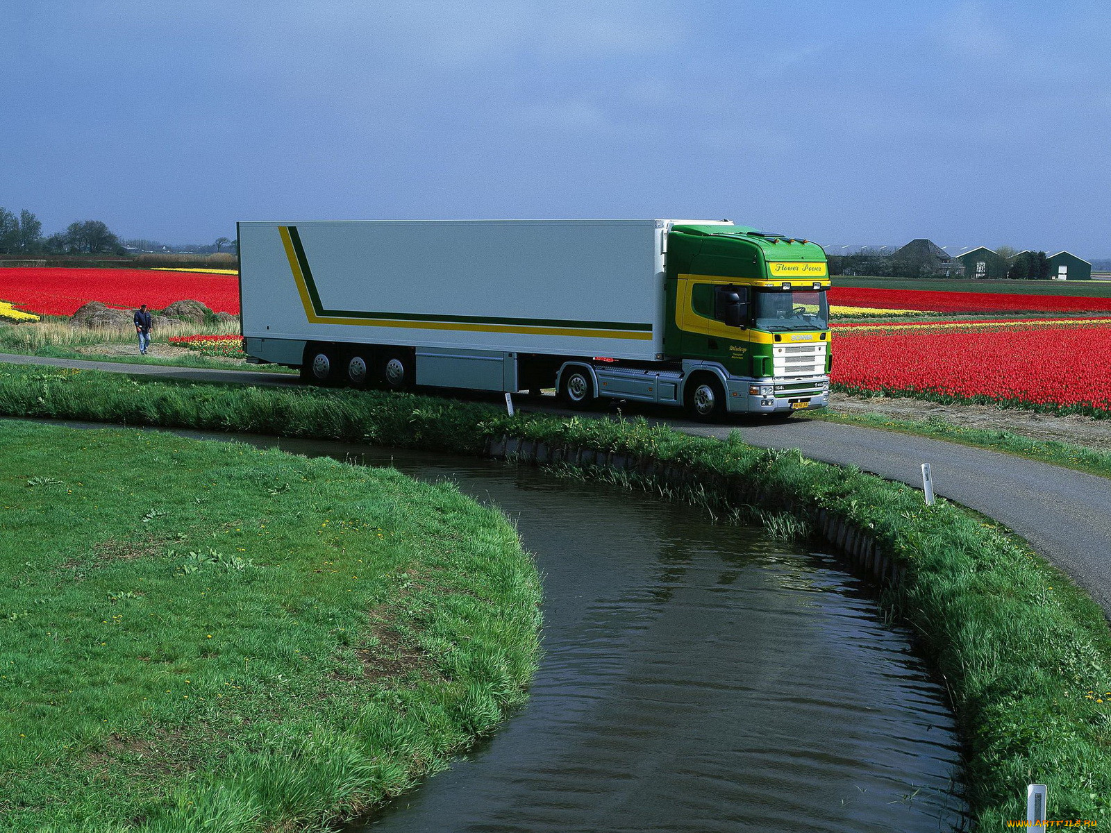 , scania